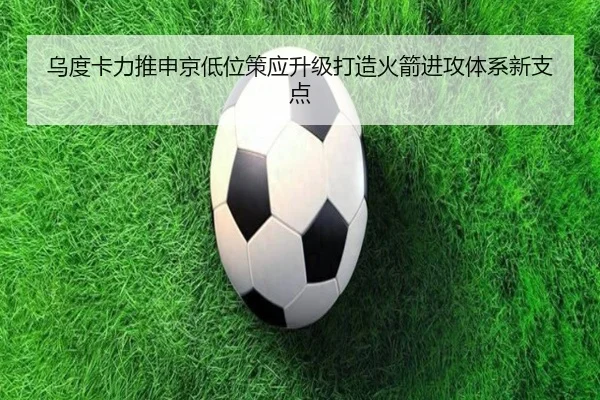 乌度卡力推申京低位策应升级打造火箭进攻体系新支点